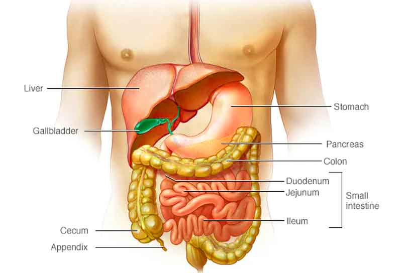 علت بیماری کرون روده چیست؟