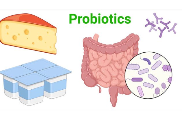 پروبیوتیک ها چه فوایدی دارند؟