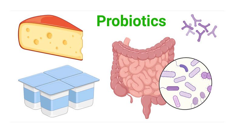 پروبیوتیک ها چه فوایدی دارند؟